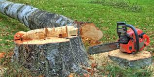 Best Hazardous Tree Removal  in Atkins, VA