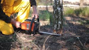 Best Weed Control  in Atkins, VA