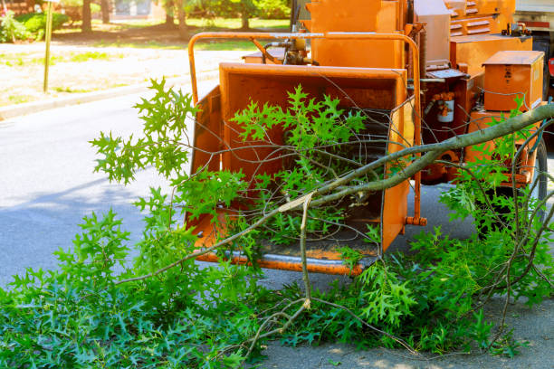 Best Tree and Shrub Care  in Atkins, VA