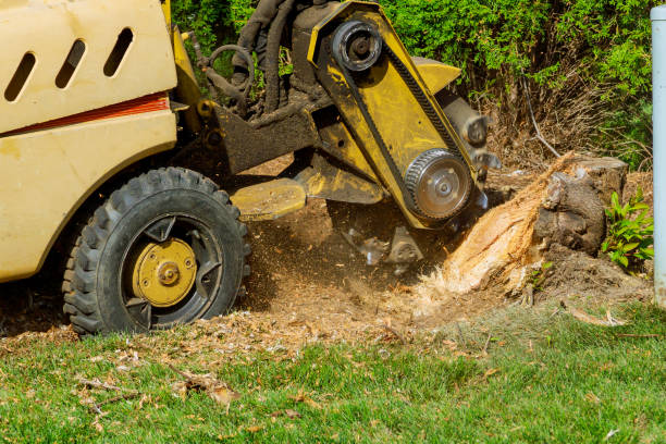 Best Tree Mulching  in Atkins, VA