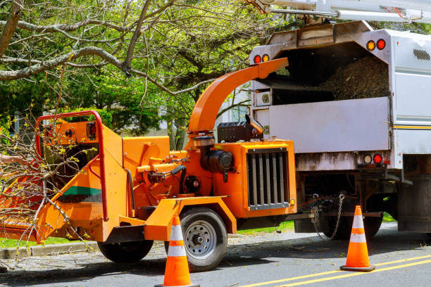Best Commercial Tree Services  in Atkins, VA
