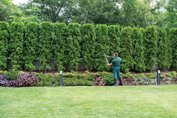 Best Tree Preservation Services  in Atkins, VA