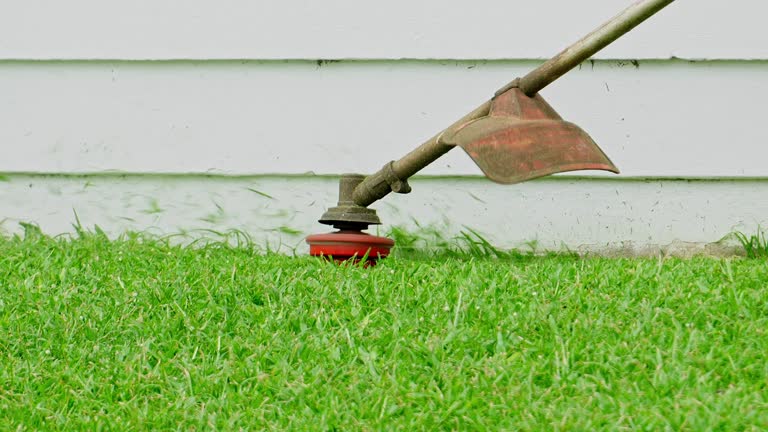 How Our Tree Care Process Works  in  Atkins, VA