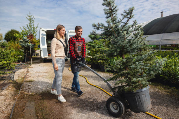 Best Root Management and Removal  in Atkins, VA